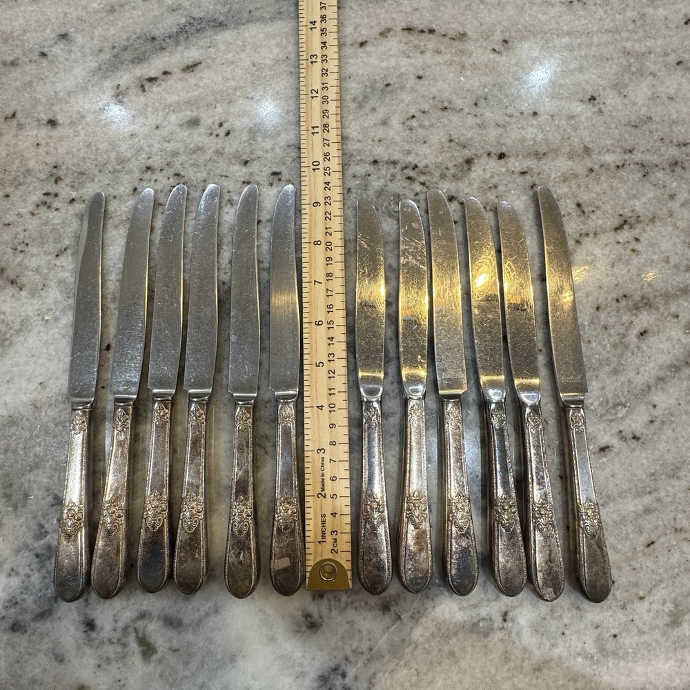 Set Of 12 Roger's 1847 Butter Knives Silver Plated Handles Stainless Steel 9"
